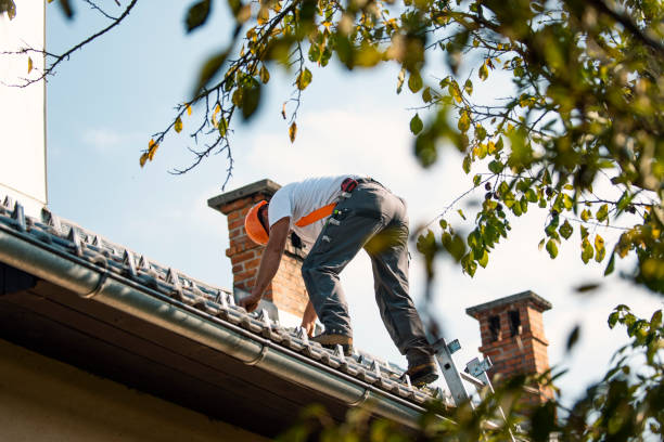 Roof Installation Near Me in Cannelton, IN