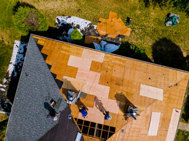 Best Residential Roofing Contractor  in Cannelton, IN
